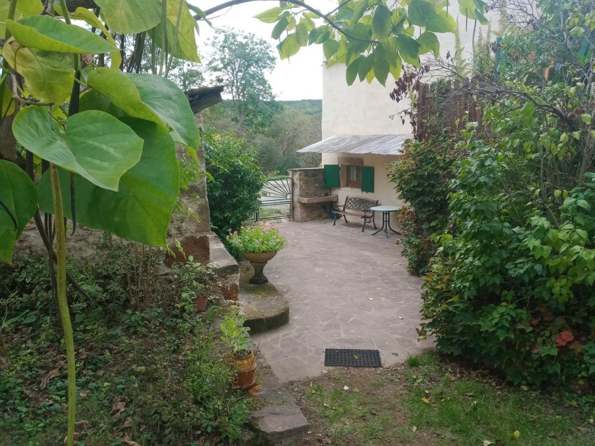 Maison Avec Jardin Entre Cordes/Ciel Et Monesties Salles (Tarn) Exterior foto